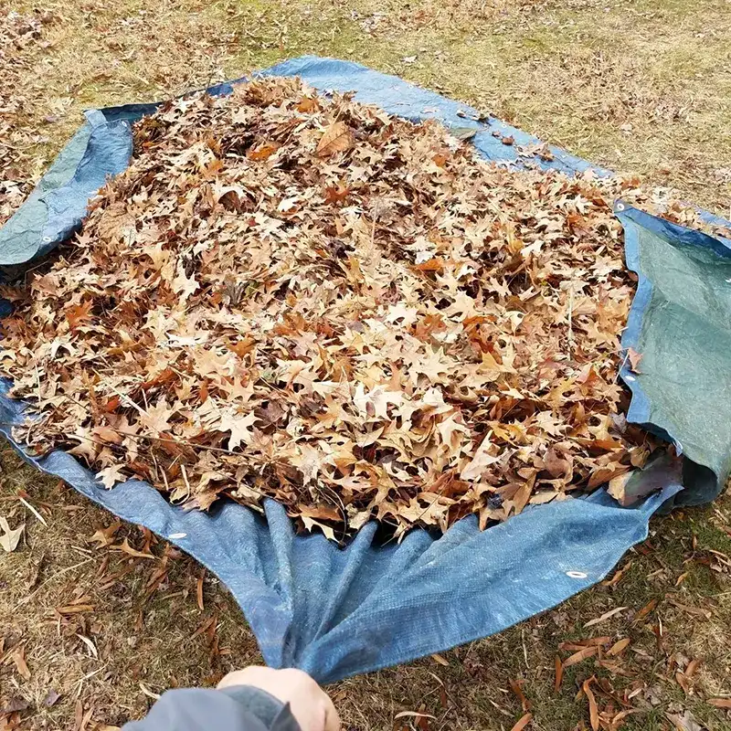 Are You Using the Right Garden Tarp for Soil Solarization and Pest Control?