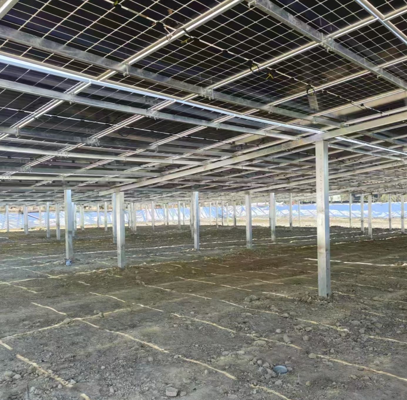Top Solar Steel Structure Supplier in China: Quality & Innovation Combined